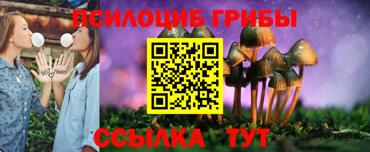 Псилоцибиновые грибы MAGIC MUSHROOMS  Вход с VPN  Кузнецк  Галлюциногенные грибы GOLDEN TEACHER 